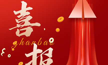 喜讯|中国石油天然气集团有限公司2024年通用仪器仪表（分析仪器）集中采购项目，304永利集团有毒气体探测器榜首中标