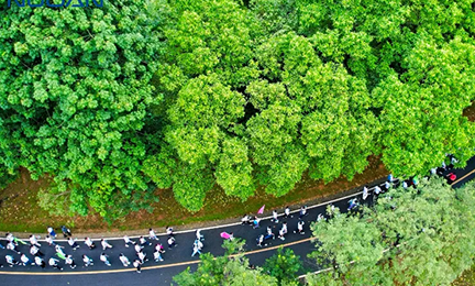 凝心同行，聚力共赢丨304永利集团2024年松山湖环湖徒步行记