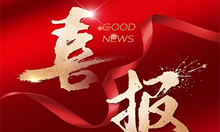 喜报丨304永利集团入选2024粤港澳大湾区企业创新力榜单